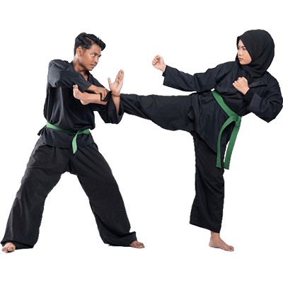Pencak Silat